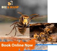 Wasp Removal Melbourne image 3